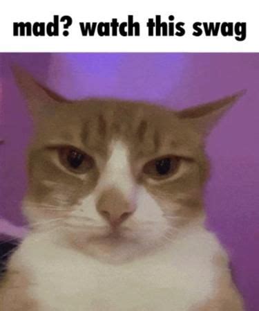 swag life | Nördigt