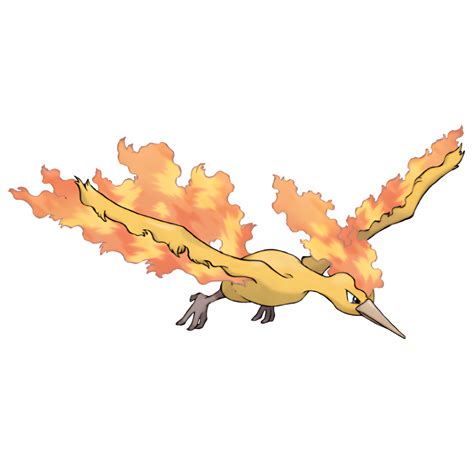 Moltres | Pokémon Wiki | Fandom