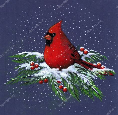 Drawing Of A Cardinal Color Drawing Of A Cardinal In Winter — Stock