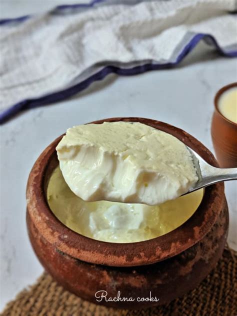 How To Make Thick Curd Yogurt At Home Rachna Cooks