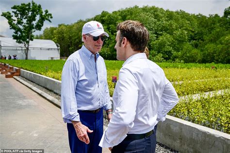 Global Leaders Try Their Hand At Mangrove Planting At G20 In Bali But