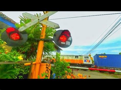 Lampu Flasher Unik Perlintasan Kereta Api Gandasuli Brebes Youtube