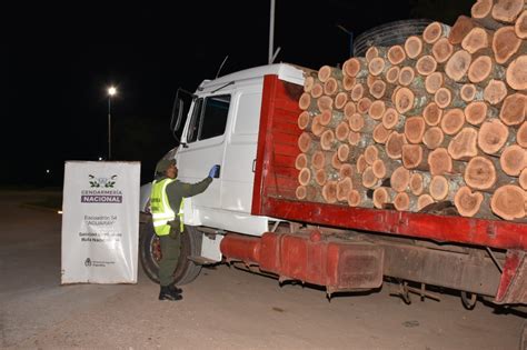 AGUARAY GENDARMERÍA SECUESTRÓ UN TRANSPORTE CON 394 TRONCOS DE ARBOL