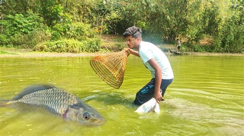 Amazing Polo Fishing Video Traditional Boy Big Fish With Bamboo Tools