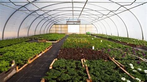 Dome Shaped Modular Greenhouse Design Services For Agriculture At