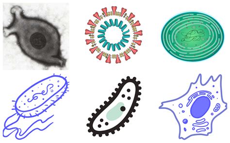 Introduction — Lesson Science State Board Class 8