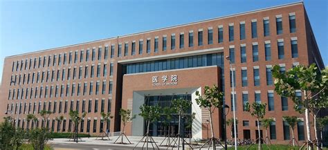 The School of Medicine, Nankai University