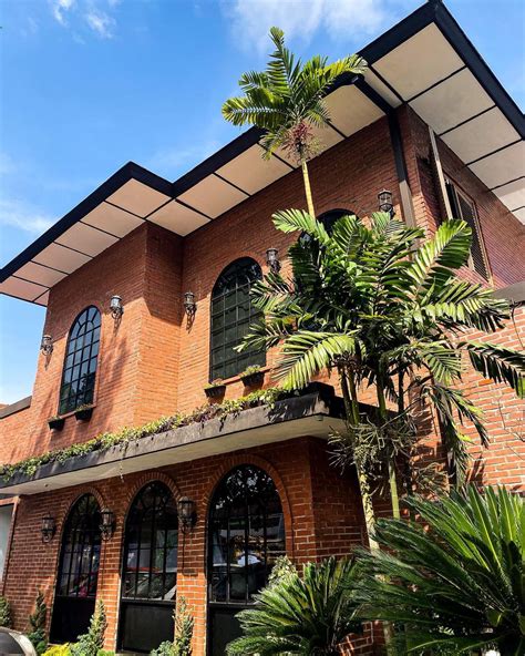 The Grove Cafe Malang Harga Menu dan Lokasi