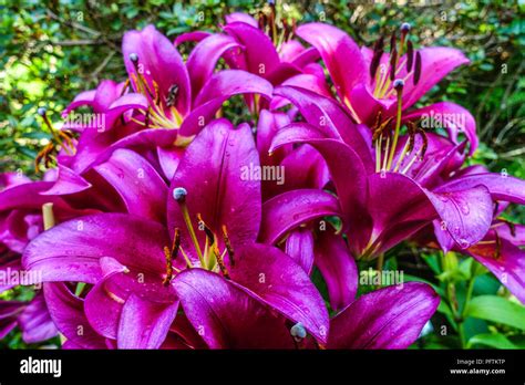 Redford hi-res stock photography and images - Alamy