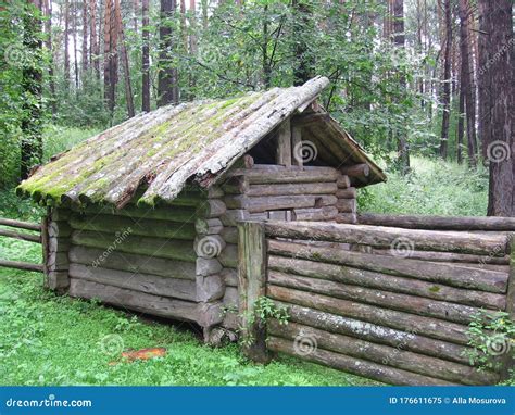 An Old Abandoned Wooden House Made Of Logs In The Forest Overgrown With