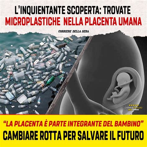 Trovate Microplastiche Nella Placenta Umana Carmen Di Lauro