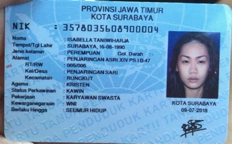 Contoh Gambar Passport Perempuan Cara Mudah Buat Gambar Passport Untuk Resume Secara Online