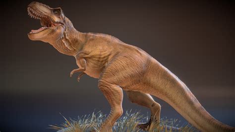 T Rex Jurassic Park Rexy Fan Art 3d Model By David Rr David222 D5298f6 Sketchfab