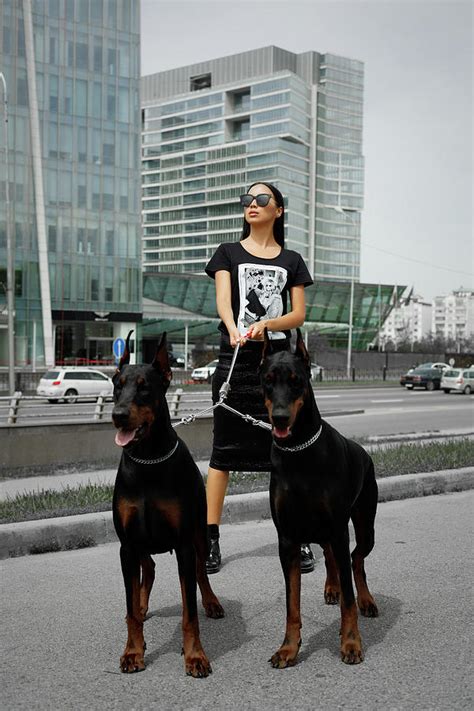 Fashion Woman With Doberman Photograph By Gaukhar Yerk Fine Art America