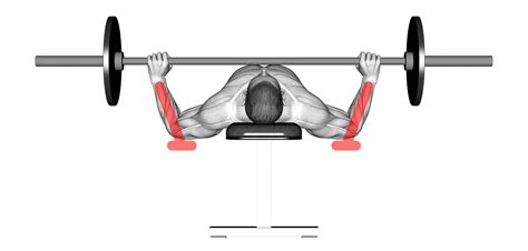 Bench Press Bar Path: Proper Form Cues and More - Inspire US