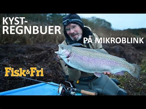 Ny Video Kystregnbuer P Mikroblink S Dan G R Du Fisk Fri