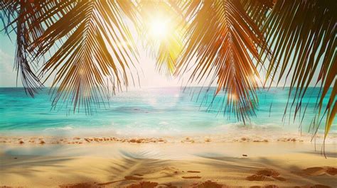 premium photo summer landscape  tropical island branches  palm trees