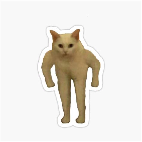 "Buff Cat Meme" Sticker by kmfranks | Redbubble