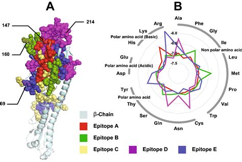 (A) 3D structure of hemagglutinin protein (HA) indicating diversifying... | Download Scientific ...