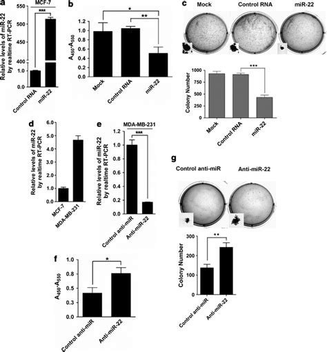 R 22 Suppresses Proliferation And Anchorage Independent Growth Of Human