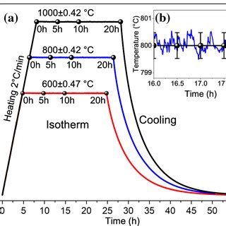 A Thermal History For Silicon Oxidation Treatments B Inset Of The