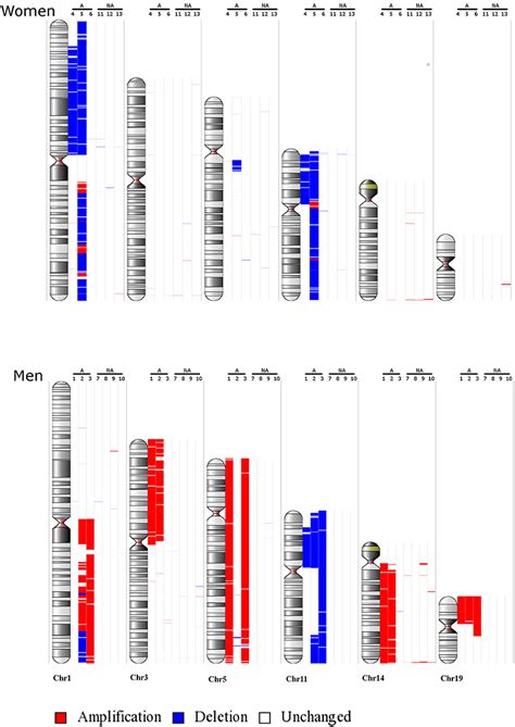 Frontiers Sex Related Differences In Lactotroph Tumor Aggressiveness