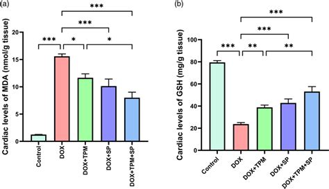 Effect Of Topiramate And Spirulina On Cardiac Tissue Oxidative Stress