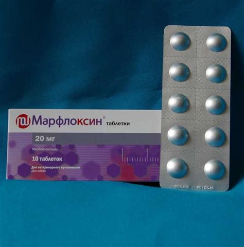 Марфлоксин для собак: инструкция и показания к применению, отзывы, цена