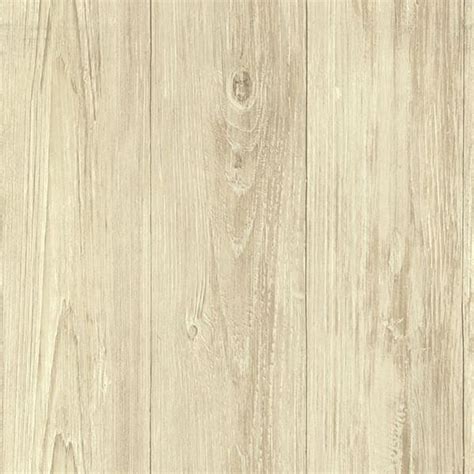 Birch Wood Texture