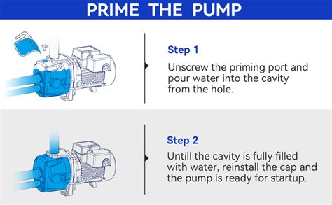 Acquaer Hp Shallow Deep Well Jet Pump Cast Iron Convertible Pump With