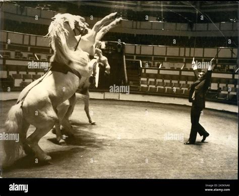 Apr 20 1971 Paris France Actor Omar Sharif Makes Horses Dance In