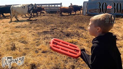 7 Year Old Moves Cows And Giving Back To Our Community 12 30in30 2023