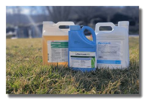 What Is A Pre Emergent Herbicide And How Will It Improve My Lawn