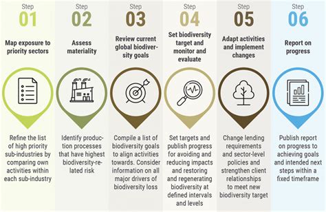 Six Steps For Financial Institutions To Set Biodiversity Targets United Nations Environment