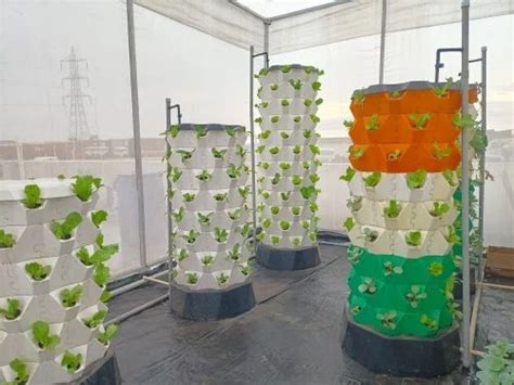 Plastic Commercial Hydroponics Systems, 3 mm, Size/Dimension: 24"x72 ...