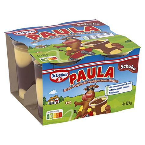 DR OETKER Paula Pudding 500 g ALDI SÜD