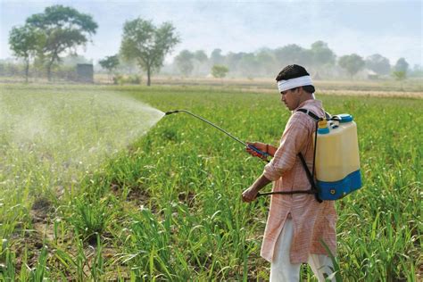 Nourrir Les Hommes De Mani Re Durable Lelivrescolaire Fr