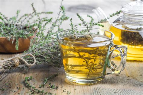 Thyme herb benefits and uses - Plantura