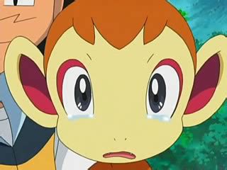 chimchar crying - The Chimchar Photo (37670737) - Fanpop