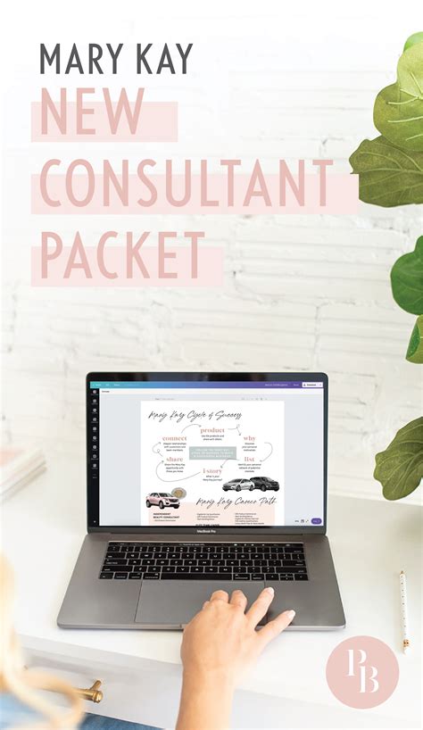 Mary Kay New Consultant Packet Mary Kay Business Mary Kay Kay