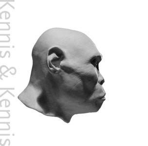 Resin Heads Kennis Kennis Reconstructions