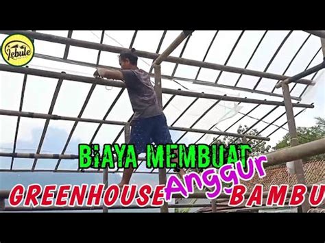 GREENHOUSE TANAMAN ANGGUR DENGAN MENGGUNAKAN BAMBU YouTube