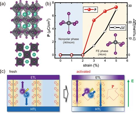 Synergistic Effect Of Ferroelasticity And Photovoltaic A Crystal