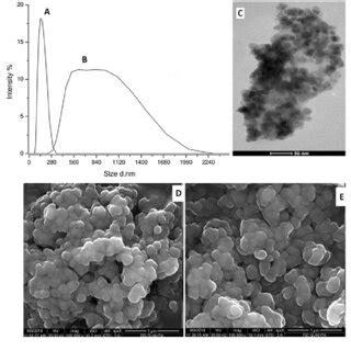 A Particle Agglomeration Size Distribution Of The Naked Fe O B