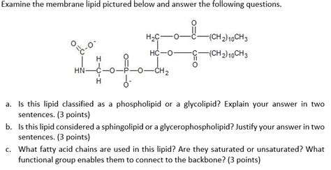 Biochemistry Lipids Questions And Answers Pdf