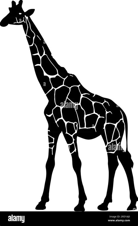 Giraffe Silhouette Isolated On White Background Vector Illustration