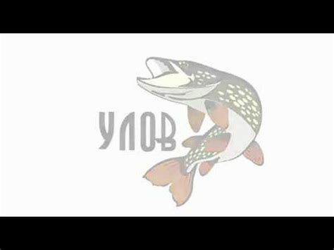 Компания "УЛОВ" - товары для рыбалки и туризма оптом, купить рыболовные ...