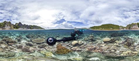 Chasing Coral Il Documentario Sui Coralli Che Ci Fa Sentire Coinvolti