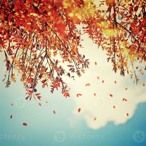 Vintage Fall Photography