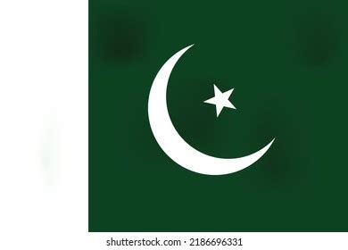 Pakistan National Flag 14 August Pakistan Stock Vector (Royalty Free ...